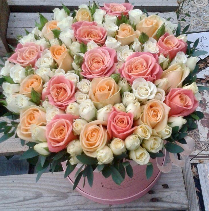 Enchanted Garden: A Symphony of Petals